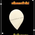 กลีบดอกทิวลิป สีครีมถนอม