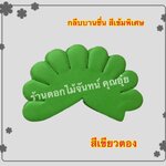 กลีบบานชื่น สีเขียวตอง