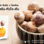 กระเทียมโทนลดไขมันอุดตันในหลอดเลือด