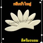 กลีบบัวใหญ่ สีครีมถนอม