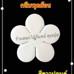 กลีบพุดซ้อน สีขาวปอนด์