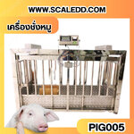 เครื่องชั่งหมูแบบกรงสแตนเลส built in printer ยี่ห้อ SDS รุ่น IDS701-PLCD พิกัด 500kg ความละเอียด 100g ขนาด 60x180x100cm.