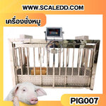 เครื่องชั่งหมู500kg ตาชั่งหมูกรงสแตนเลส เครื่องชั่งหมู กรงชั่งหมู ตาชั่งหมู500kg ตาชั่งน้ำหนักหมู พิกัด 500kg ความละเอียด 100g ยี่ห้อ SDS รุ่น IDS701-SS