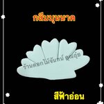 กลีบบุนนาค สีฟ้าอ่อน