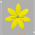 กลีบบัวบาน สีเหลืองไพร