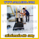 เครื่องชั่งคานเลื่อน ตาชั่งคานเลื่อน เครื่องชั่งแบบคานเลื่อน เครื่องชั่งระบบคานเลื่อน 500 kg 100 g Mechanicle Scale 500kg 100g ยี่ห้อ VECHICLECAR รุ่น PF