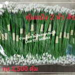 เกสรตุ้มแป้ง 2 หัว สีขาว