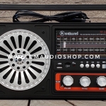 วิทยุธานินทร์แท้ ปี 2019 : TF-323 รุ่นใหม่ล่าสุด!! (FM/ AM/ USB/ Card Reader/ Bluetooth)