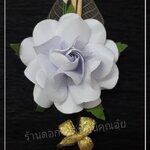 ดอกไม้จันทน์ดอกพุดซ้อนสีขาวปอนด์