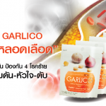 คอร์สดีท็อกซ์หลอดเลือด