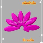 กลีบบัวเล็ก สีบานเย็น