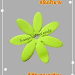 กลีบบัวบาน สีเขียวตองสะท้อน