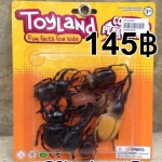 โมเดลแมลง No. 8