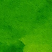 Mungyo Watercolour 'Half Pan' - 836 Yellow Green