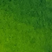 Mungyo Watercolour 'Half Pan' - 835 Sap Green