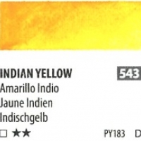 ShinHan(PWC) 15ml SeriesD - 543 Indian Yellow