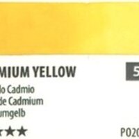 ShinHan(PWC) 15ml SeriesD - 540 Cadmium Yellow