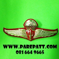 ปีกรดเก่า ราคา 85 บาท