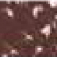Mungyo Gallery Soft Pastel - 019 Burnt Umber