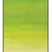 Winsor Winton Oil Color 37ml - 145 Chrome Green Hue