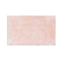 Derwent Lightfast - 2662 Salmon