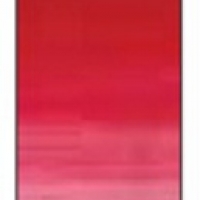 Winsor Winton Oil Color 37ml - 468 Permanent Alizarin Crimson