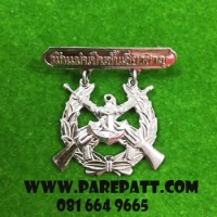 เข็มนักแม่นปืนชั้นเชียวชาญ ราคา 250 บาท