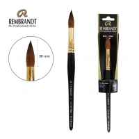 Rembrandt Brush Series:110 No.24