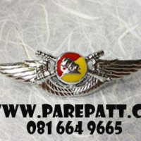 ปีกร่มผู้ตรวจการณ์ทางอากาศสัมพันธ์ ราคา 280 บาท
