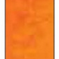 Winsor Winton Oil Color 37ml - 090 Cadmium Orange Hue