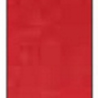 Winsor Winton Oil Color 37ml - 682 Vermilion Hue