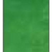 Winsor Winton Oil Color 37ml - 483 Permanent Green Light