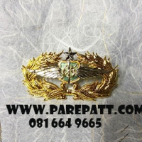 เครื่องหมายป้องกันฐานบินทหารอากาศ ราคา 300 บาท