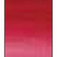 Winsor Winton Oil Color 37ml - 478 Permanent Crimson Lake