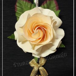 ดอกไม้จันทน์กุหลาบสีครีม
