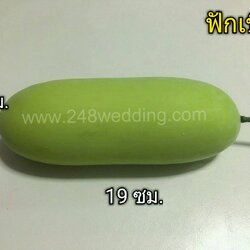 ฟักเขียว (อุปกรณ์ส่งตัวเข้าหอ)