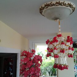 โคมแขวนดอกรักระย้า (ทรงพุ่มสั้น)