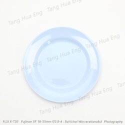 ( 12 ใบ ) จานตื้นเมลามิน 9 นิ้ว P9003-9 โกลด์เด้น ฮอร์ส