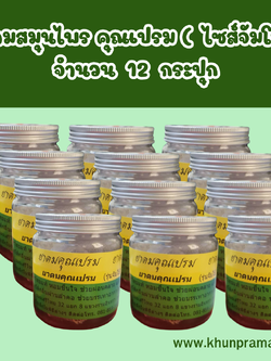 ยาดมสมุนไพร คุณเปรม (ไซส์จัมโบ้ ขนาด 100 กรัม ) จำนวน 12 กระปุก