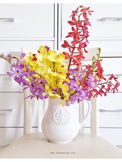 Shabby Chic Ceramic Vase แจกันเซรามิค ทรงเหยือก สีขาว