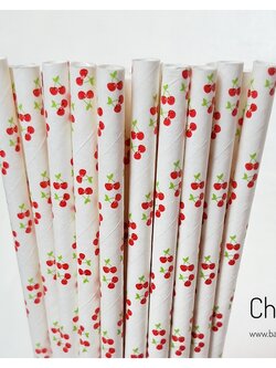 Fruit Pattern Paper Straws หลอดกระดาษ ใช้สำหรับดื่มน้ำ