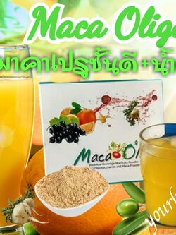 มาคา โอลิโก้ Maca Oligo