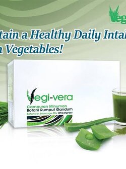 Vegi Vera เวกิ เวร่า(มาเลย์เซีย)