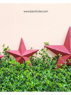 Metal Stars Wall Decor ดาวสีแดงเลือดหมู ตกแต่งผนัง งานโลหะ