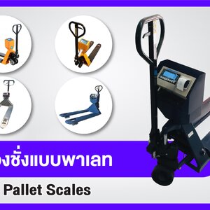 เครื่องชั่งน้ำหนักพาเลท