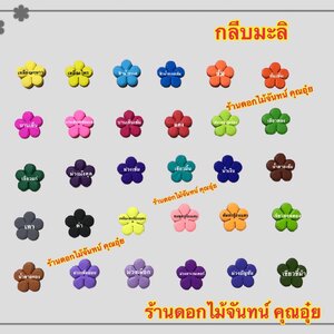 กลีบมะลิ สีเข้ม