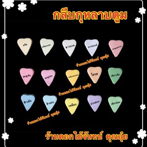 กลีบกุหลาบตูม สีอ่อน