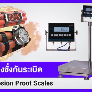 เครื่องชั่งกันระเบิด (Explosion Proof Scale)