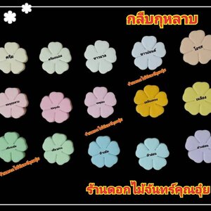กลีบกุหลาบ สีอ่อน