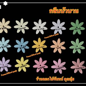 กลีบบัวบาน สีอ่อน